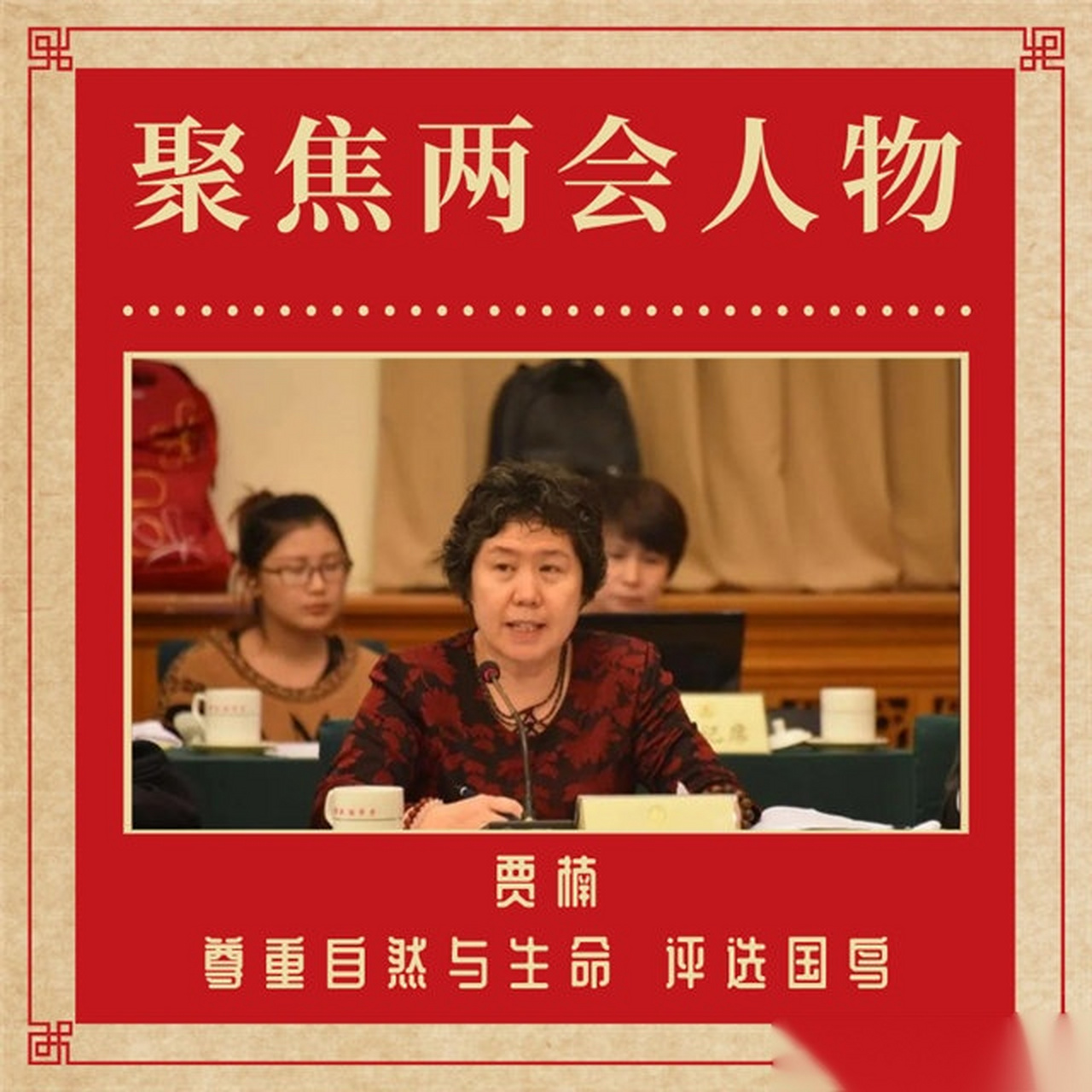 贾楠的简单介绍 贾楠的简单介绍