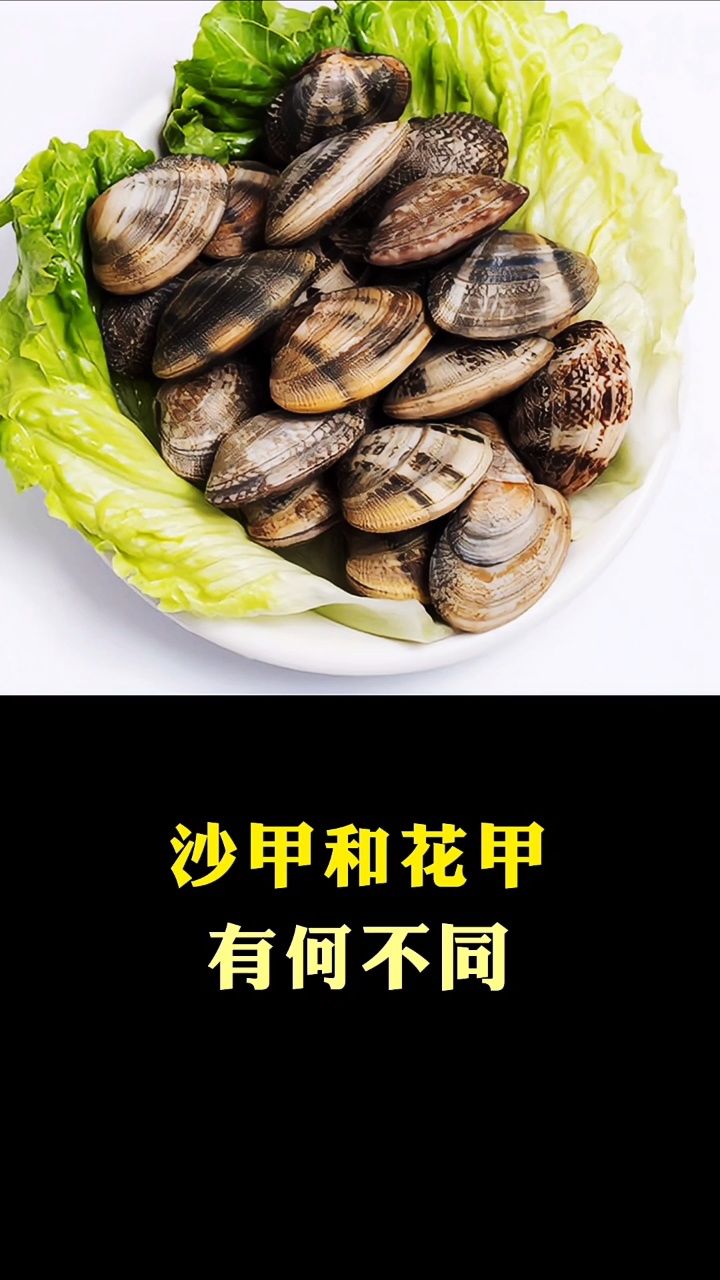 沙地甲,沙地甲是哪的联赛