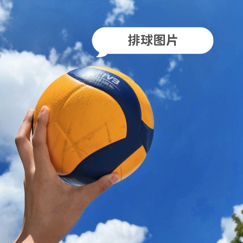 排球录像,排球比赛的视频回放 排球录像,排球比赛的视频回放