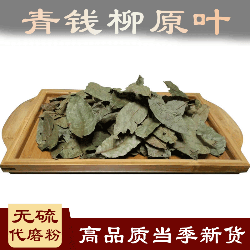 柳金,柳金蝉