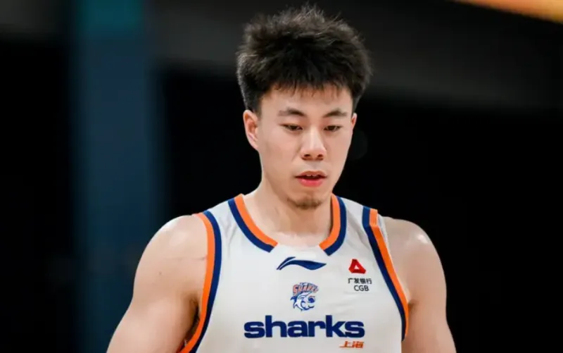 现役小前锋排名,nba现役小前锋排名 现役小前锋排名,nba现役小前锋排名