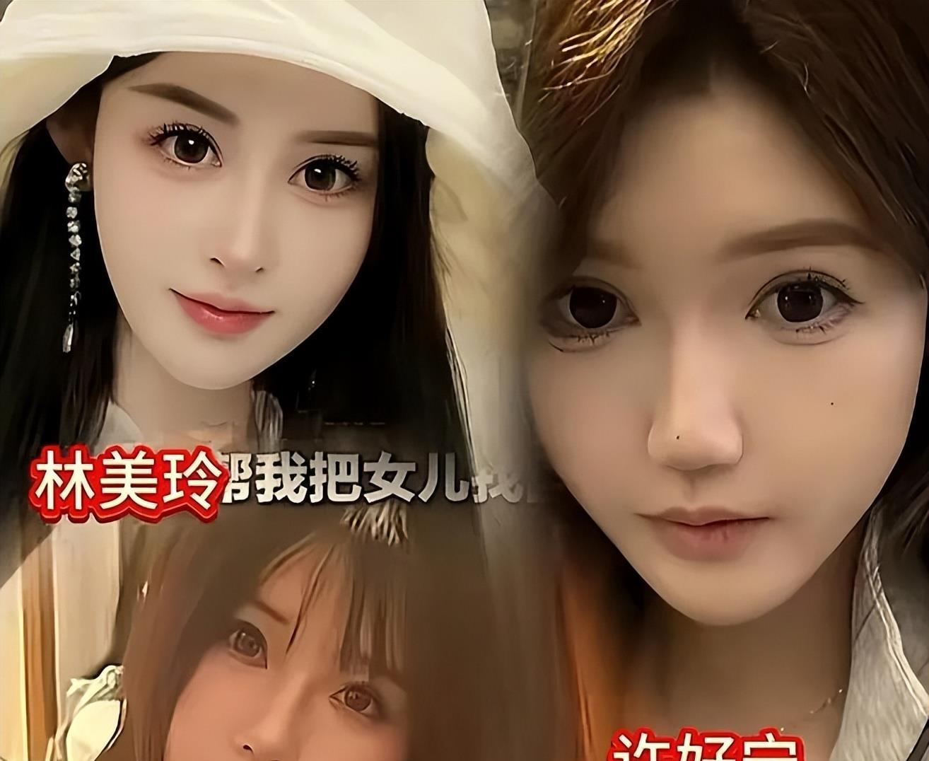 林美玲,林美玲个人简历