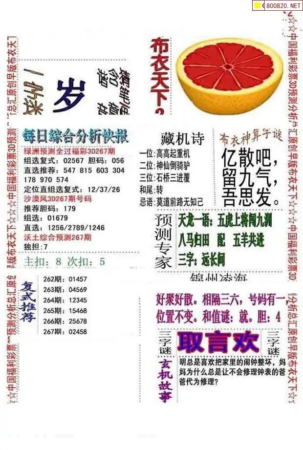 三d和值谜,真实的谎言三d和值谜