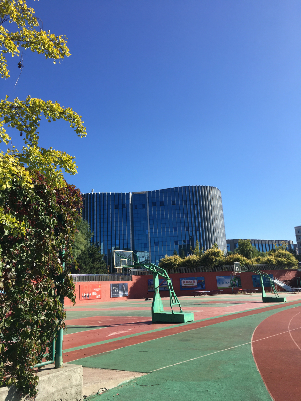 太原理工体育学院,太原理工体育学院院长