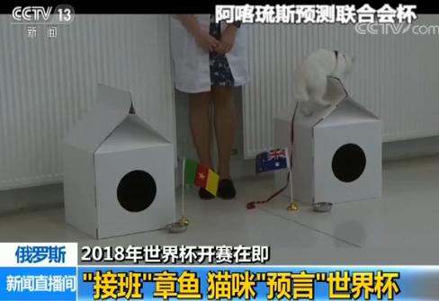 章鱼直播足球,章鱼直播停了,还有什么足球直播的软件? 章鱼直播足球,章鱼直播停了,还有什么足球直播的软件?
