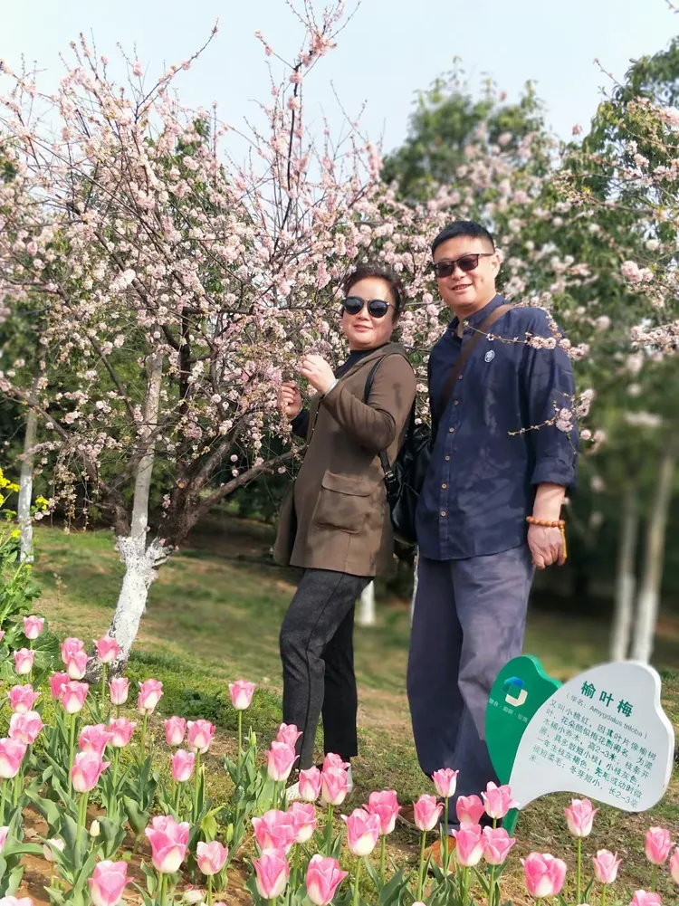 胡梅,胡梅导演简介