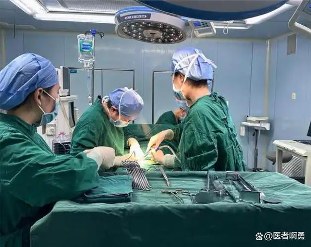 郑少忠,郑州gfa健美冠军名单