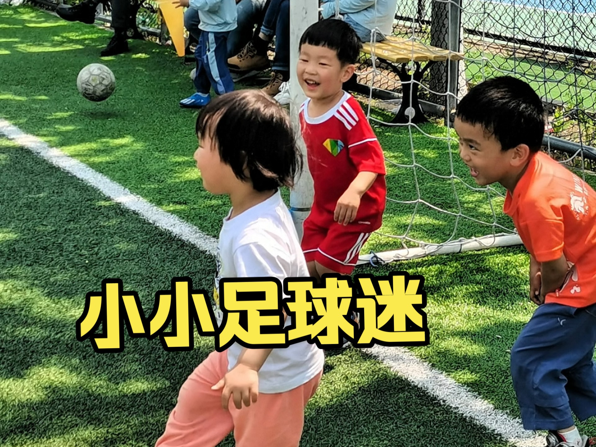 幼儿足球2岁足球游戏,幼儿足球2岁足球游戏教案