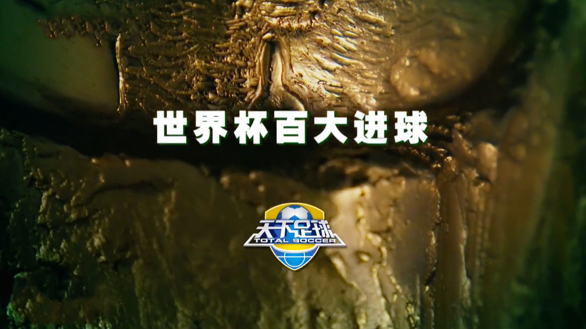 南美足球集锦天下足球的简单介绍